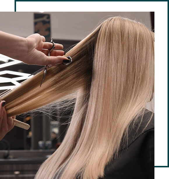 Professional hairdresser cutting woman's hair in salon, closeup